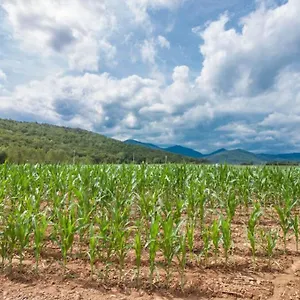La Cabanya Planella La Vall de Bianya